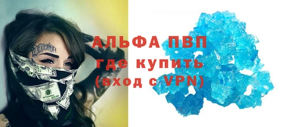 прущие грибы Каменск-Шахтинский