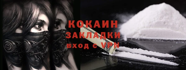прущие грибы Каменск-Шахтинский