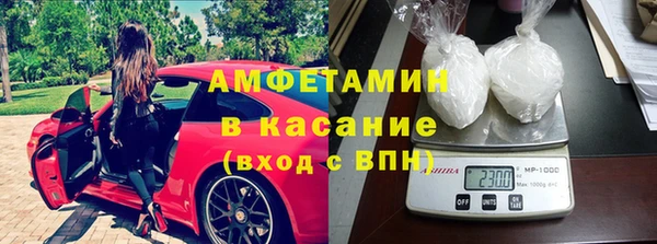 прущие грибы Каменск-Шахтинский