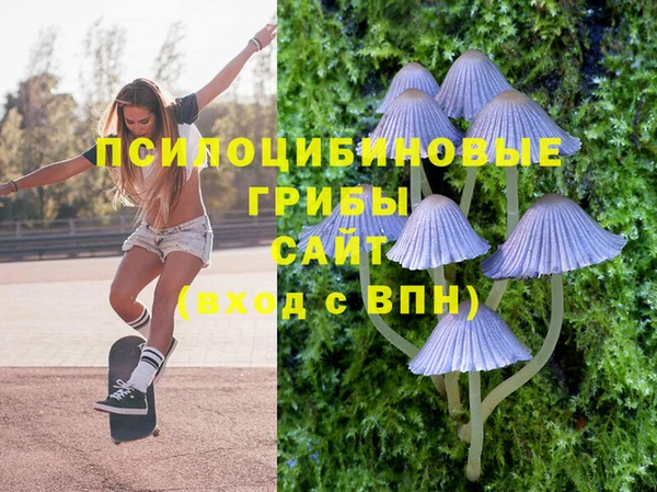 прущие грибы Каменск-Шахтинский