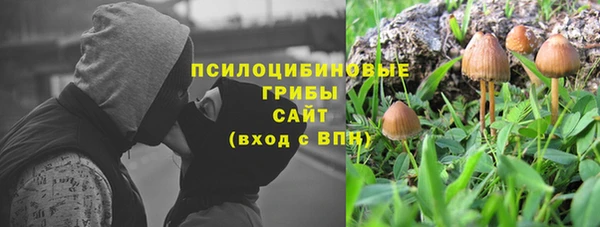 альфа пвп Каменногорск
