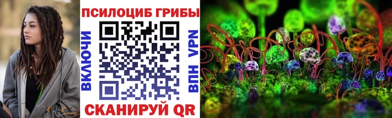 Псилоцибиновые грибы Cubensis  Барнаул 
